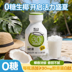 轻上 0糖生椰植物蛋白饮品椰乳椰子汁椰子奶无糖饮料胶原蛋白肽整箱装 0糖生椰原味220ml*10瓶
