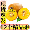 淳果一木 黄心猕猴桃 10个装 单果≥100g