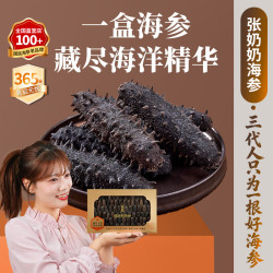 张奶奶 大连淡干辽刺海参非即食海参高泡发大连特产精装送礼礼盒 干海参 500g*1盒 70-100头