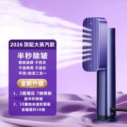 小巢糖 手持挂烫机家用熨斗小型熨烫机蒸汽便携式烫衣服神器