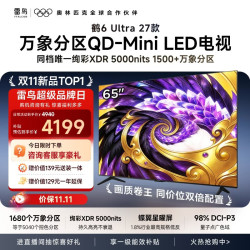 雷鸟 鹤6 Ultra 27款 65R69B Ultra 液晶电视 65英寸