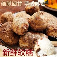 云南新鲜现挖小芋头2斤毛芋头当季蔬菜芋艿软糯香甜早餐 牛奶小芋头2斤