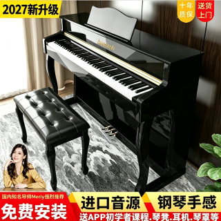 hetitch 海蒂诗 电钢琴88键重锤电子钢琴儿童初学幼师专业成人家用数码立式钢琴 P-313烤漆黑-蓝牙-全重锤-配琴凳