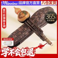 名森 防摔凤尾紫竹 降B调 葫芦丝