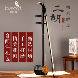 相思鸟 相思鳥 lovebird 相思鸟 二胡乐器