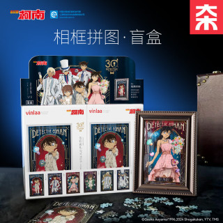 VINLAA 柯南100片相框拼图盲盒宝石巡礼
