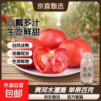 京喜 新鲜露天西红柿大番茄沙瓤普罗旺斯新鲜生吃水果番茄云南四川发货 带箱 6斤 单果100g以上