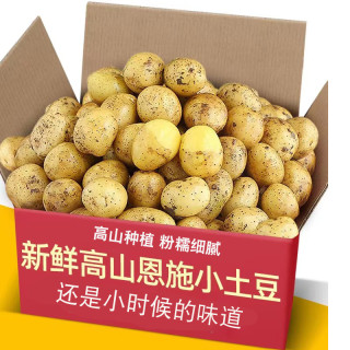 沁枝 网红恩施黄心小土豆呀新鲜蔬菜3/5/9斤迷你马铃薯洋芋[粉糯香甜]
