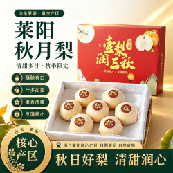 京农超 正宗秋月梨山东莱阳羊脂秋月梨新鲜孕妇水果丰水冰糖梨水果生鲜