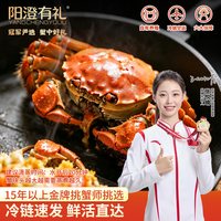 88VIP：阳澄有礼 鲜活公母蟹湖鲜礼盒去绳净重（公2.8-3.1四只母1.8-2.1四只）