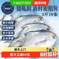 限地区：鼎呱鲜 鲜活银鲳鱼 舟山深海鲜冻款 500g*3袋