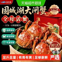 88VIP：渔传播 固城湖大闸蟹 精品礼盒全母2两*8只