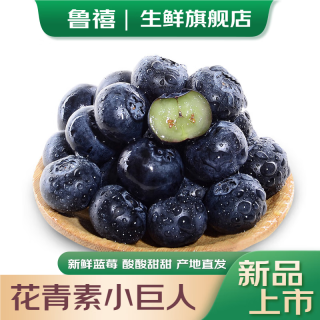 鲁禧 蓝莓 新鲜时令生鲜 现摘现发孕妇水果 蓝莓鲜果送女朋友 精选蓝莓（单果15mm+）100g*6盒
