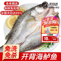 添渔港 开背海鲈鱼大号 3 条装