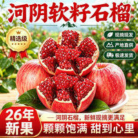 京农超 突尼斯软籽红石榴 精品果 净重4.5斤