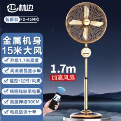 林边 落地扇家用客厅电风扇大风力商用强劲升降仿复古全金属工业扇