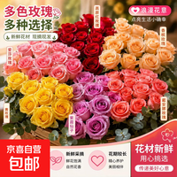 鲜花基地直发玫瑰花百合鲜切花束向日葵花瓶插花 随机单色玫瑰10枝
