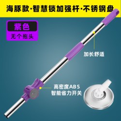 七彩龙 QCL-TBG05 加强杆+塑料盘拖把 紫罗兰