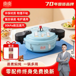 双喜 高压锅 家用压力锅 迷你双人料理锅煲仔饭电磁炉通用小型微压力锅 电磁炉通用微压锅5L 24cm