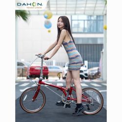 大行 D10折叠车复古折叠自行车20寸10速HAC003英伦DAHON铬钼钢单车