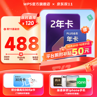 wps 大会员2年+京东plus1年 AI写PPT WPS for iPad版本可用