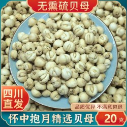 四川贝母正品特级无硫阿坝贝母颗粒正宗干货中药材非野生枇杷膏粉