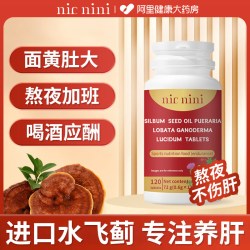 雅博人 李时珍葛根灵芝护肝片正品官方旗舰店养肝护肝茶降血脂胶囊护肝