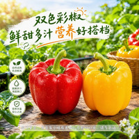 京鲜生 GREENSEER 绿鲜知 西芹 1kg