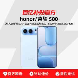 荣耀 500 新品手机 2亿人像全能实况 8000mAh青海湖电池 第四代骁龙8s 拍照