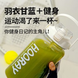 兵王的炊事班 纯羽衣甘蓝粉膳食纤维减低脂冲泡饮品早餐冲饮青汁肥代餐蔬菜食品
