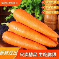新鲜脆甜胡萝卜2斤 中大果 农家水果萝卜手抓饭伴侣蔬菜夏季减脂胡萝卜