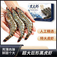 卖鱼婆 北海活冻黑虎虾 净重3斤 117-135只/盒