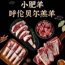 小肥羊 呼伦贝尔羊小腿 2.5斤*1份