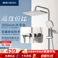 恒洁 铜合金主体双重除垢方形顶喷花洒套装 HMF948-333