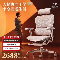 保友办公家具 保友 金豪E2 Pro 人体工学椅 银白美国网