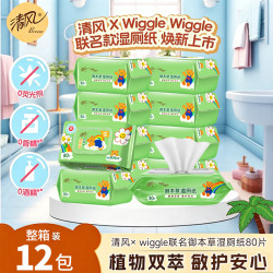 清风 湿厕纸80片12包家用卫生厕所湿巾擦屁股私处消毒湿纸巾家庭装 80片*12包