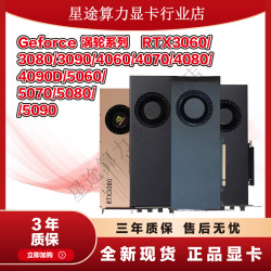 英伟达 全新RTX涡轮3060/90/80/4070Tis4080/4090D/5080电脑显卡 涡轮  RTX4090  24g 涡轮RTX4090  48G