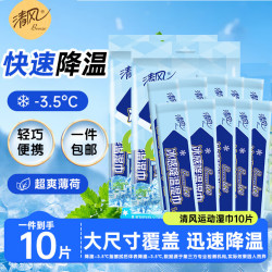 清风 化妆棉湿巾运动冰爽薄荷因子长效冰爽快速降温大尺寸 常规款5片*2袋