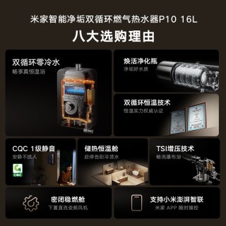 米家 JSQ30-MJ06 小米米家燃气热水器16L P10 净垢双循环天然气家用零冷水恒温降噪
