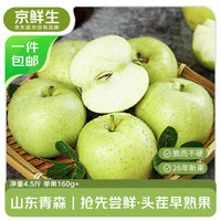 京鲜生 山东雀斑王林苹果 净重4.6斤 单果160g+ （果径75mm+） 源头直发 王林苹果丨净重4.6斤 单果160g+