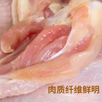 温氏 供港三黄鸡 1kg 90天