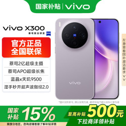 vivo X300 5G 手机 惬意紫 16GB 512GB