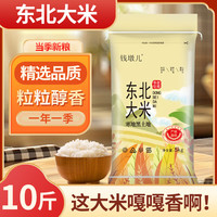 钱墩儿 超正宗东北大米 珍珠米  当季新米 10斤装