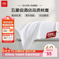 张御 白色酒店枕套60支新疆100%全棉民宿宾馆医院枕头套一对装 48x74cm