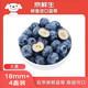 京鲜生 秘鲁蓝莓大果18mm+ +4盒装 125g/盒 生鲜水果 源头直发包邮
