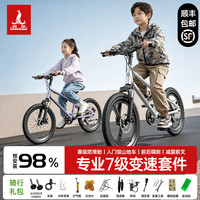 凤凰 儿童自行车6-10-14岁青少年男女孩变 速山地车脚踏车礼物 乐途单速辐条轮普通前叉-蓝 16寸