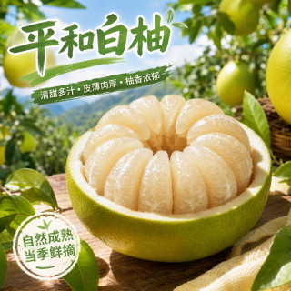 京典光年 正宗福建平和白心蜜柚当季新鲜水果薄皮琯溪白肉柚子白柚孕妇整箱 平和白柚3-4枚（净果8-9斤）