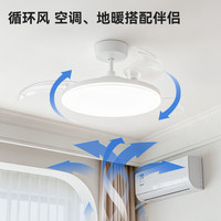 京东京造 E1Pro吸顶灯+风扇灯套装  全光谱已接入米家App包安装 3室2厅A