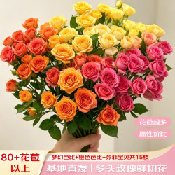云选花礼 混搭花束苏菲宝贝+橙色芭比+梦幻芭比组合15枝80个花苞