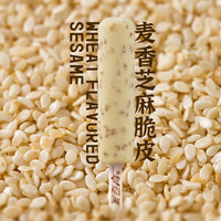 美登高 爆芝脆巧克力味脆皮雪糕 240g*12支